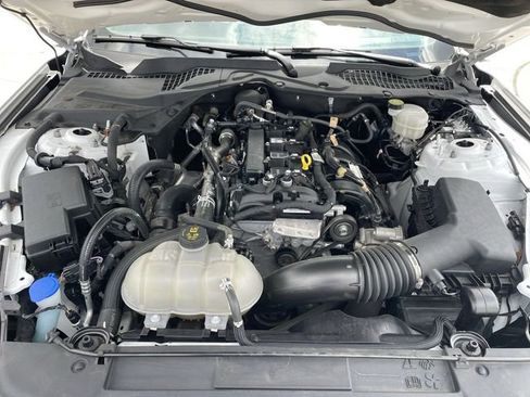 Used 2022 Ford Mustang Coupe w/ Equipment Group 101A RWD image 28