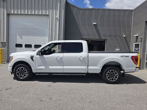 Used 2023 Ford F150 XLT w/ Equipment Group 302A High AWD/4WD image 19