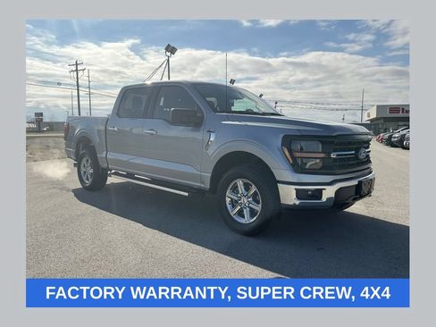 Used 2025 Ford F150 XLT w/ Equipment Group 301A Standard AWD/4WD image 1
