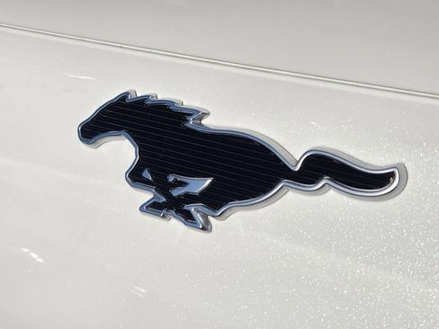 New 2026 Ford Mustang Mach-E Premium w/ Technology Package image 16