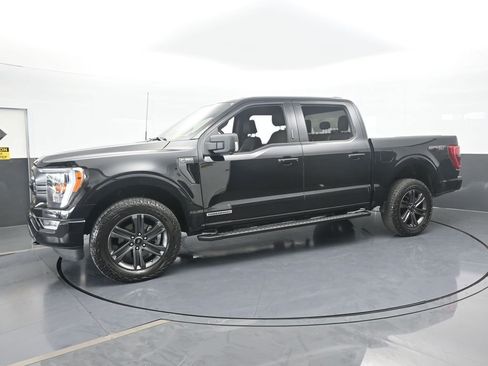 Used 2023 Ford F150 XLT w/ Equipment Group 302A High image 2