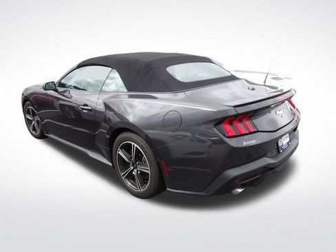 Used 2024 Ford Mustang Premium RWD image 3