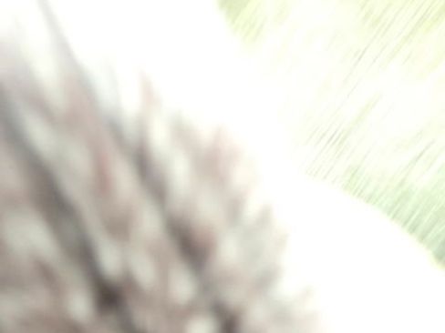 Used 2009 Ford F150 XL image 10