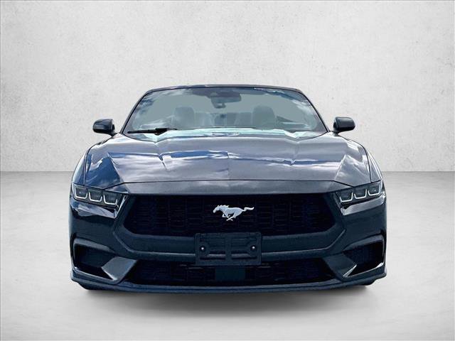 Used 2024 Ford Mustang Premium RWD image 3