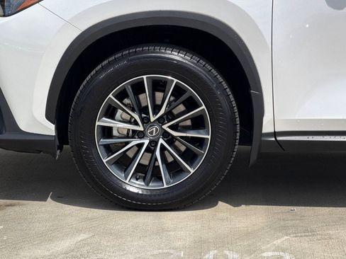 Used 2025 Lexus NX 350h AWD w/ Accessory Package (2T) image 13