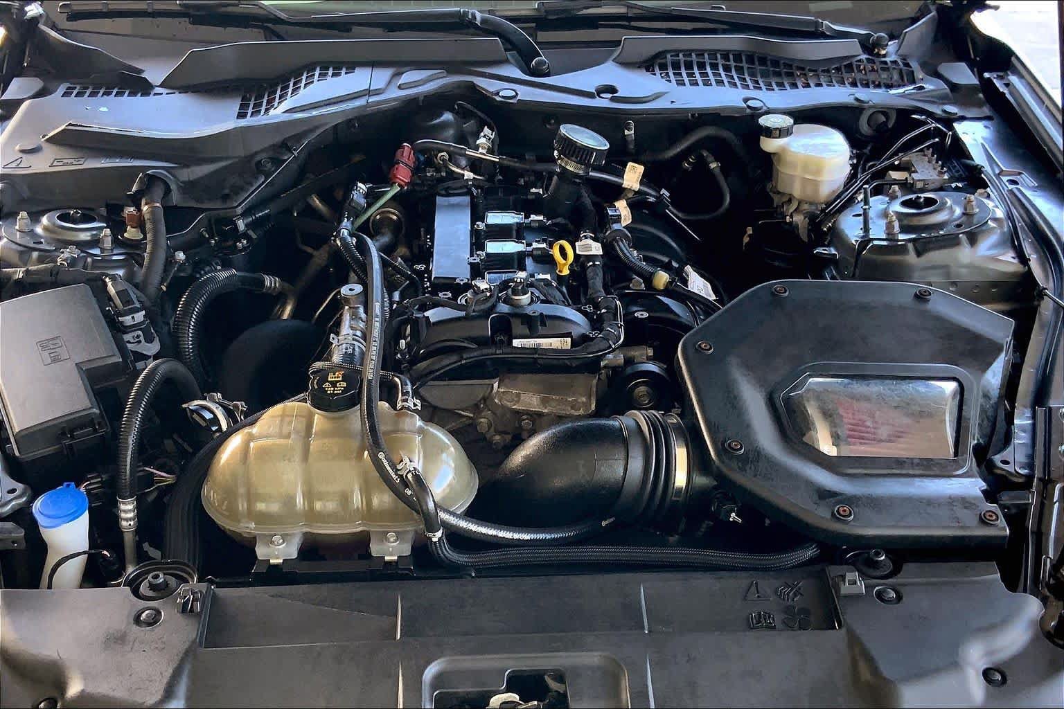 Used 2022 Ford Mustang Coupe w/ Equipment Group 101A RWD image 9