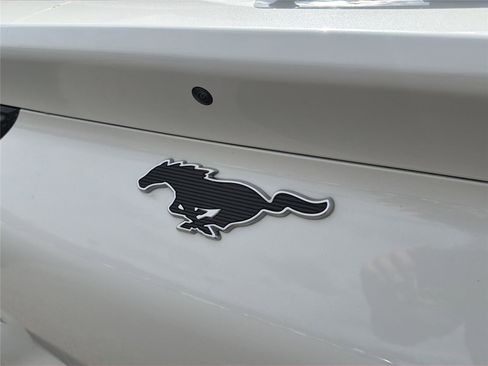 Used 2021 Ford Mustang Mach-E Premium AWD/4WD image 38
