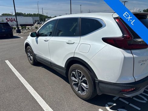 Used 2022 Honda CR-V EX-L image 5