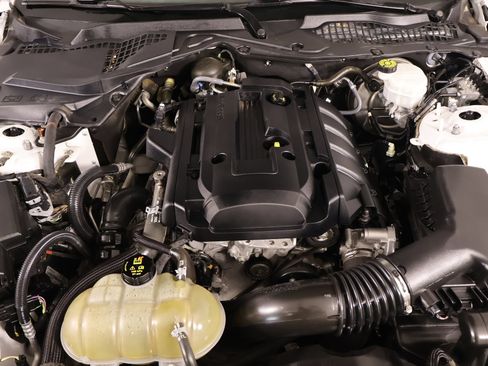 Used 2019 Ford Mustang Coupe RWD image 17
