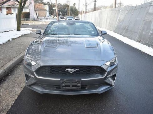 Used 2023 Ford Mustang Premium image 2