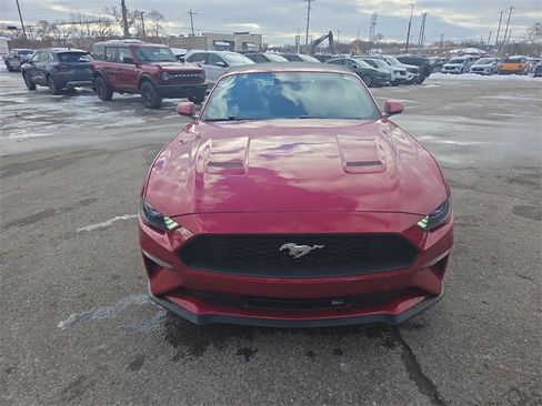 Certified 2023 Ford Mustang EcoBoost w/ Equipment Group 101A image 2