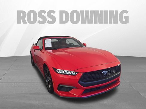 Used 2024 Ford Mustang Premium RWD image 3