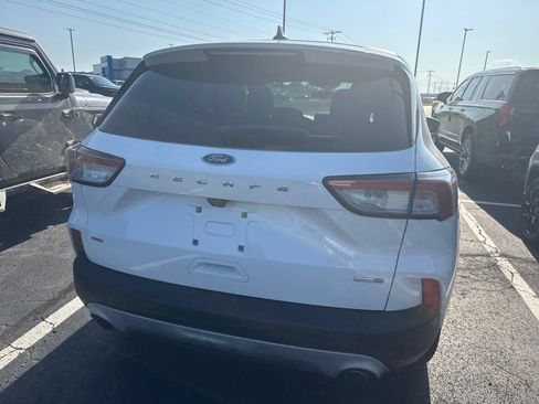 Used 2020 Ford Escape SE AWD/4WD image 5
