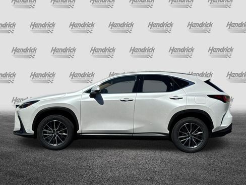 Certified 2024 Lexus NX 350h AWD image 8