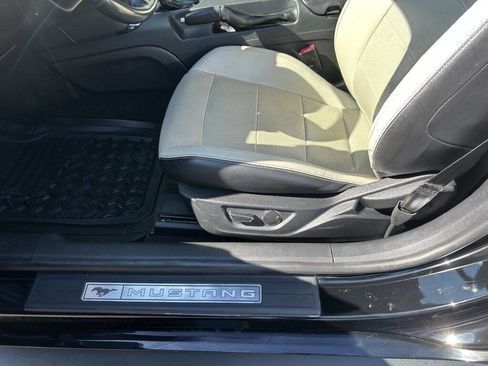 Used 2019 Ford Mustang Premium image 12