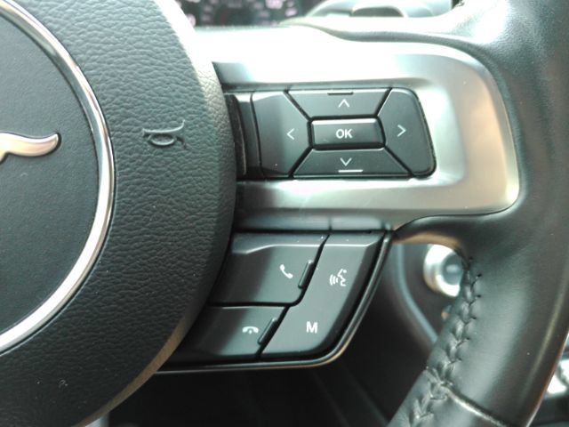 Used 2019 Ford Mustang GT Premium RWD image 35