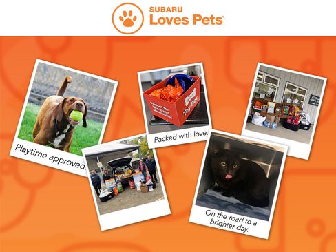 New 2026 Subaru Forester Premium image 2