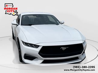 Used 2024 Ford Mustang Coupe RWD video 1