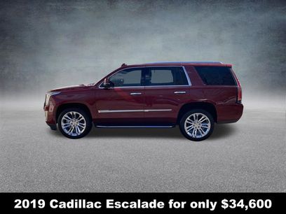 Used 2019 Cadillac Escalade Luxury w/ LPO, Radiant Package