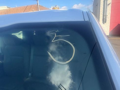 Used 2019 Ford F150 XL w/ Equipment Group 101A Mid image 35