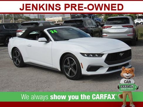 Used 2024 Ford Mustang Premium image 14