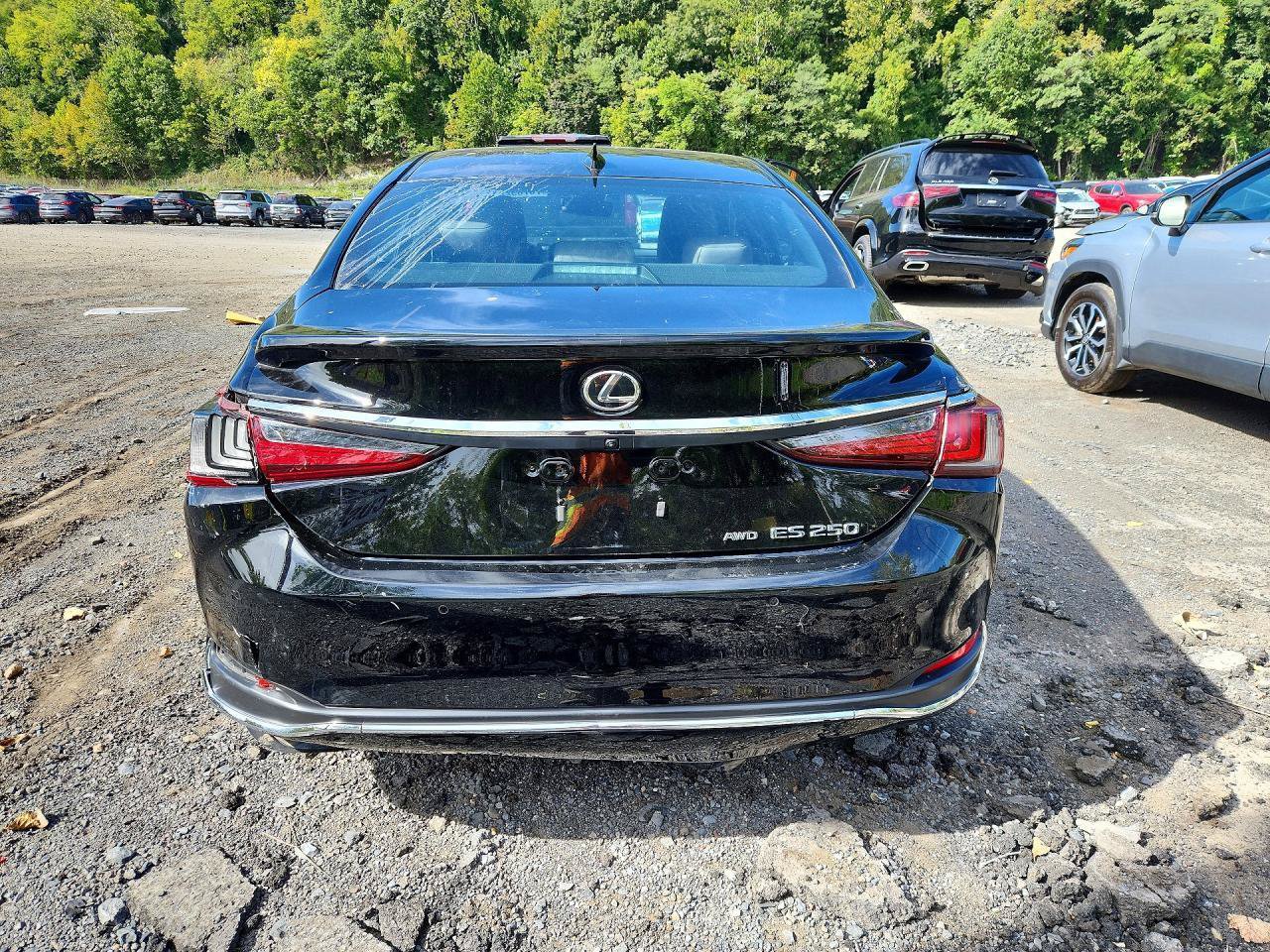 Used 2024 Lexus ES 250 w/ Premium Package AWD/4WD image 4