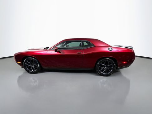 Used 2019 Dodge Challenger SXT w/ Blacktop Package RWD image 9