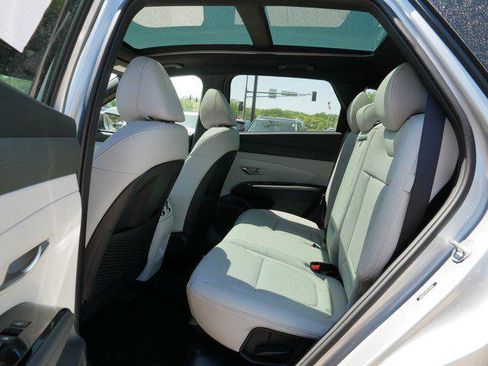 New 2026 Hyundai Tucson Limited AWD/4WD image 6