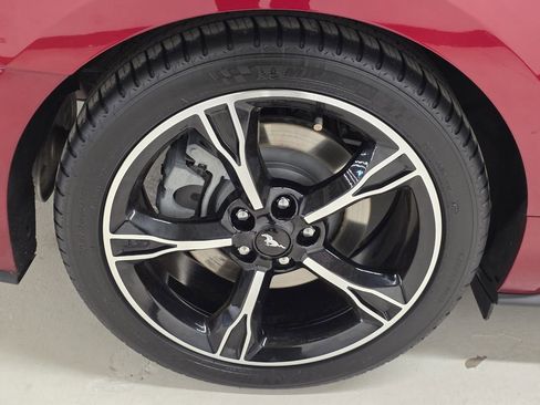 Used 2017 Ford Mustang GT Premium w/ Equipment Group 401A image 58