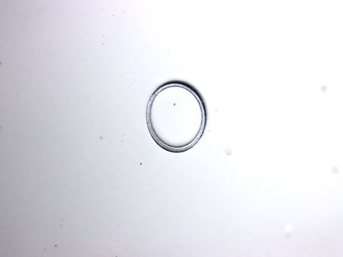 Used 2017 BMW 328d Sedan image 35