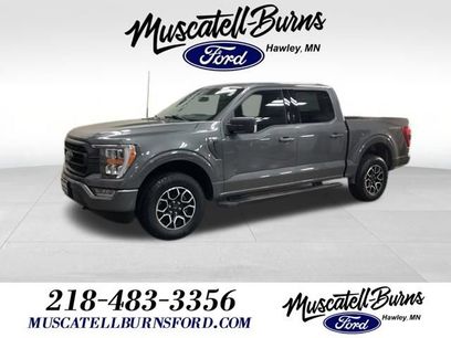Used 2023 Ford F150 XLT w/ Equipment Group 302A High