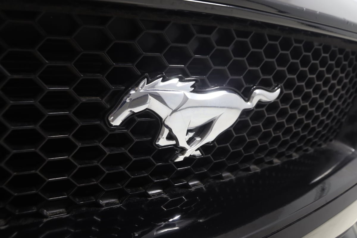 Used 2019 Ford Mustang GT Premium w/ Equipment Group 401A RWD image 19
