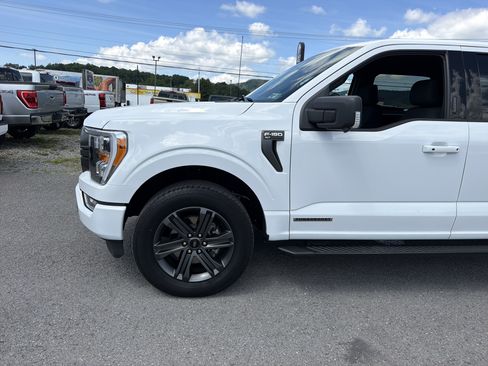 Used 2023 Ford F150 XLT w/ Equipment Group 302A High AWD/4WD image 9
