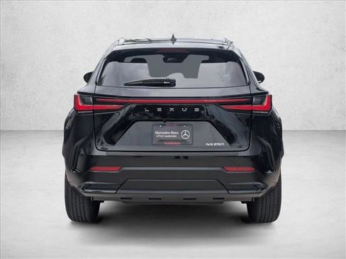 Used 2024 Lexus NX 250 FWD w/ Cold Area Package image 6
