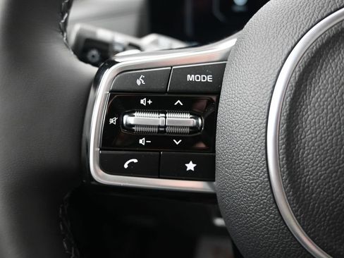 New 2026 Kia Carnival SX Prestige image 29