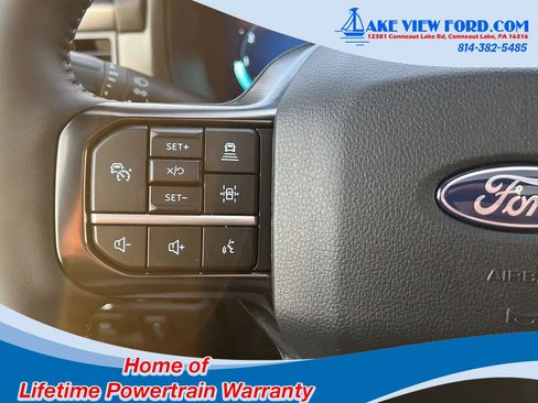 New 2025 Ford F150 Platinum w/ Equipment Group 702A High image 25