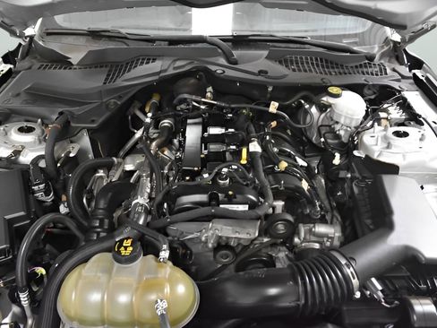 Used 2019 Ford Mustang Coupe w/ Black Accent Package image 35