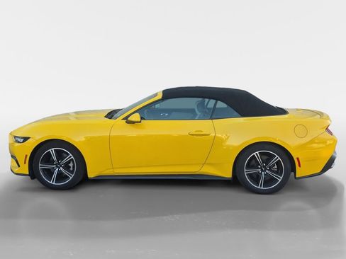 Used 2024 Ford Mustang Premium image 7