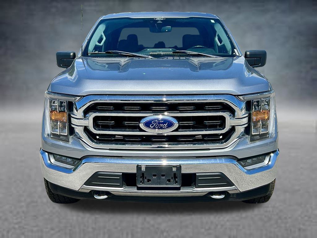 Used 2021 Ford F150 XLT w/ Equipment Group 302A High AWD/4WD image 2