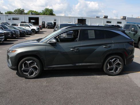 Used 2024 Hyundai Tucson Limited AWD/4WD image 5