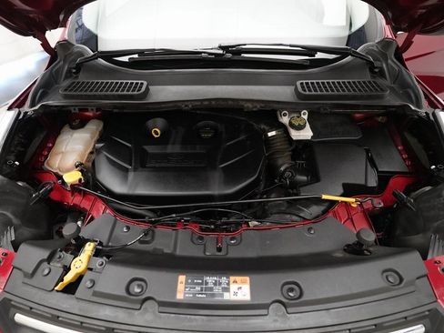 Used 2016 Ford Escape SE w/ SE Leather Comfort Package image 3