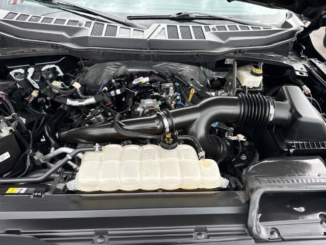 Used 2024 Ford F150 XLT RWD image 10