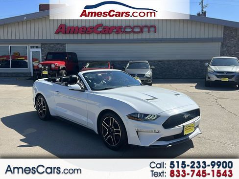 Used 2020 Ford Mustang Premium RWD image 1