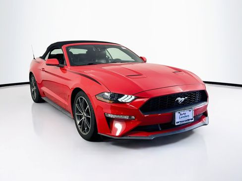 Used 2019 Ford Mustang Premium w/ Equipment Group 201A RWD image 3