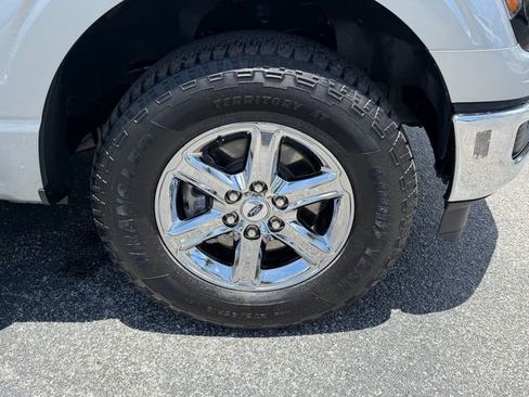 Used 2025 Ford F150 XLT w/ Equipment Group 301A Standard AWD/4WD image 19