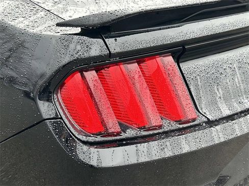 Used 2017 Ford Mustang Shelby GT350 image 11