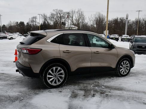 Used 2021 Ford Escape Titanium w/ Titanium Elite Package image 7