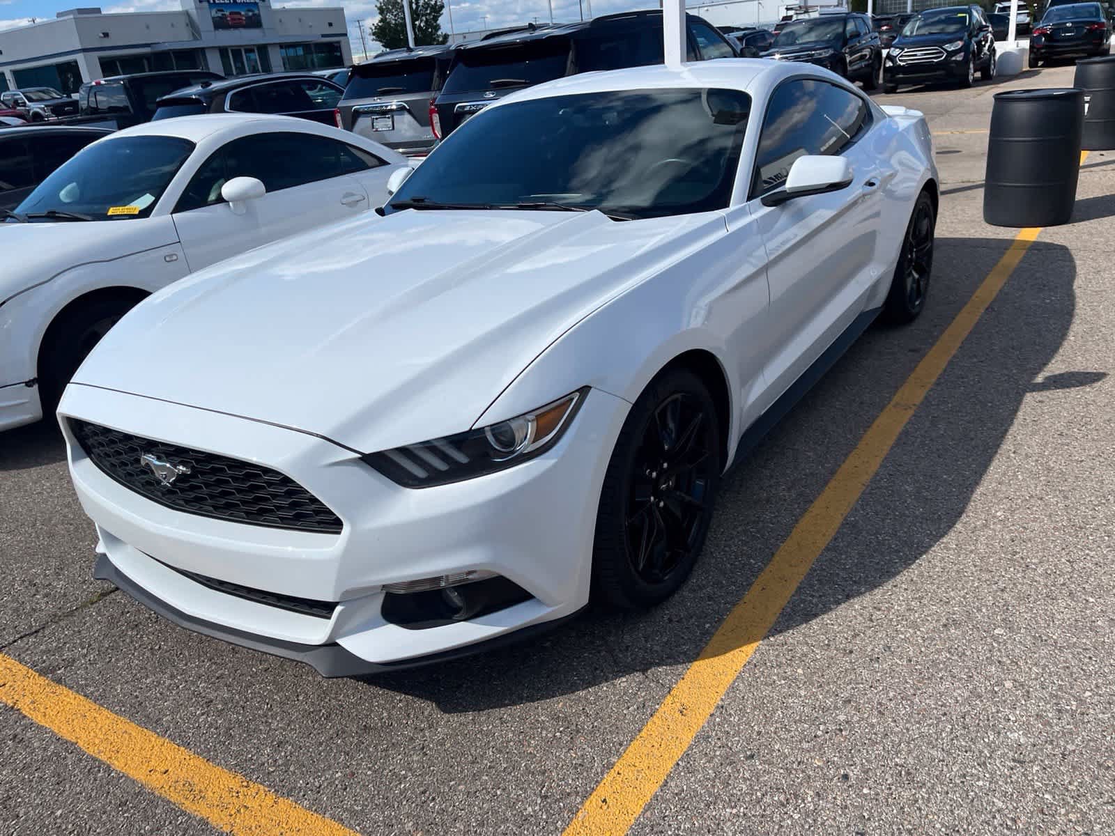 Used 2015 Ford Mustang Premium RWD image 5