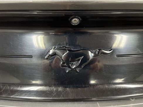 Used 2019 Ford Mustang Coupe w/ Black Accent Package RWD image 30