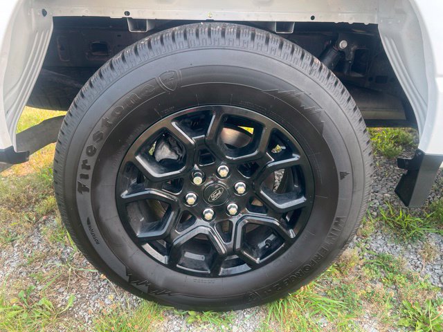 Used 2025 Ford F150 XLT w/ Equipment Group 301A Standard AWD/4WD image 9